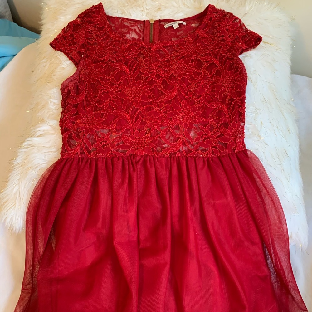 Lace Fit and Flare Dress